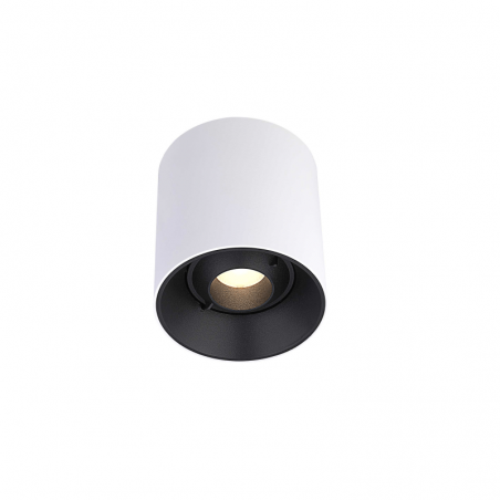 10W Ajustable LED surface luminaire FRESH C1023, 50°, 3000K  - 1