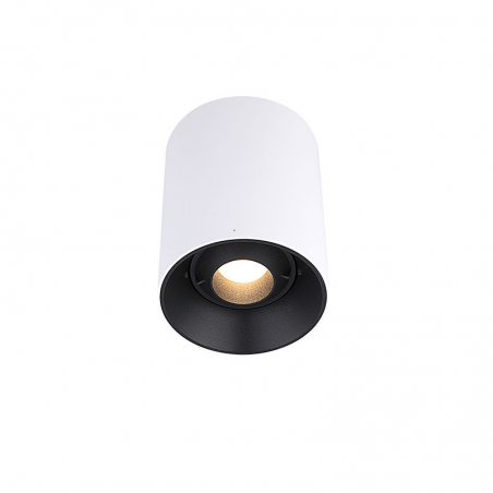 15W Ajustable LED surface luminaire FRESH C1024, 50°, 3000K  - 1