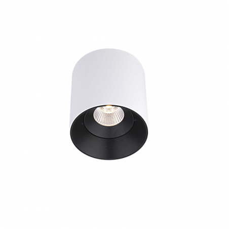 10W LED surface luminaire FRESH C1029, 60°, 3000K  - 1
