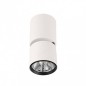 Ceiling luminaire SPL-2854-1-SC-WH