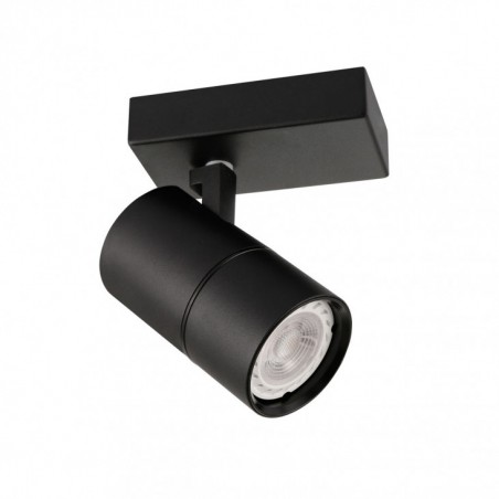 Ceiling luminaire SPL-2813-1B-BL - 1