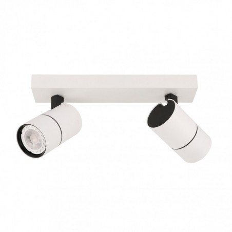Ceiling luminaire SPL-2813-2B-WH - 1