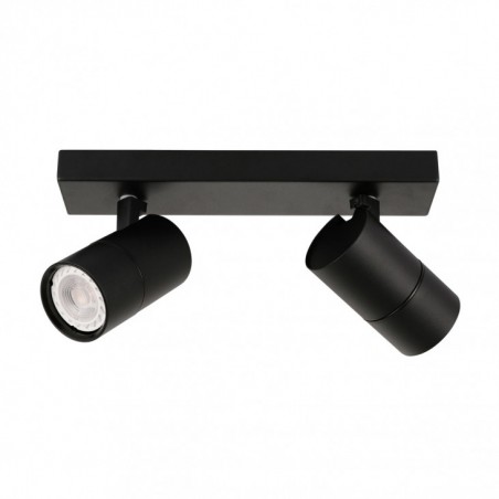 Ceiling luminaire SPL-2813-2B-BL - 1