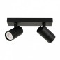 Ceiling luminaire SPL-2813-2B-BL
