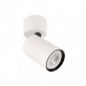 Ceiling luminaire SPL-2846-1SC-WH