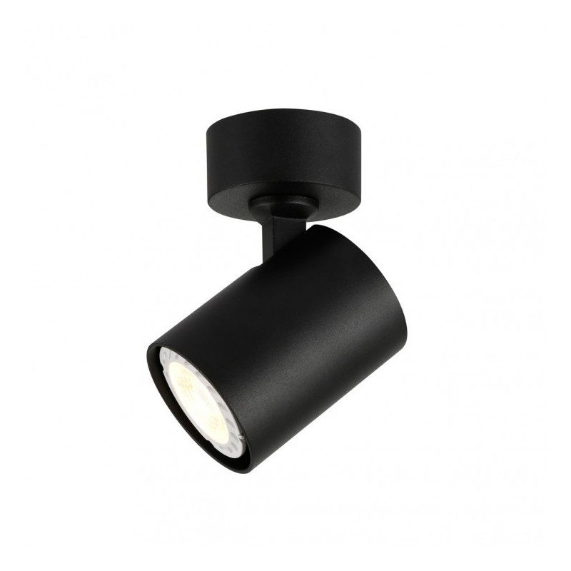 Ceiling luminaire SPL-2071-1-MC-BL             