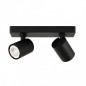 Ceiling luminaire SPL-2071-2-MB-BL             