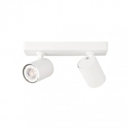 Ceiling luminaire SPL-2071-2-MB-WH - 1