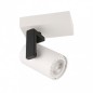 Ceiling luminaire SPL-2846-1 WH