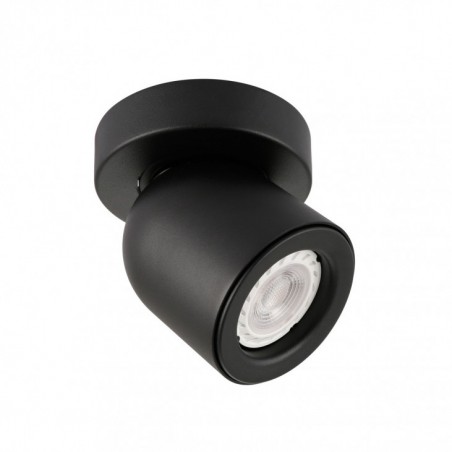 Ceiling luminaire SPL-2855-1C-BL  - 1