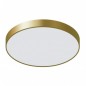 Ceiling luminaire 5361-860RC-GD-3