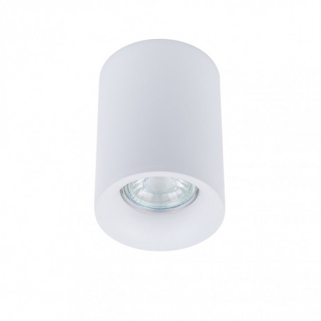 Ceiling Luminaire TM09080-WH               - 1