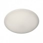 Ceiling luminaire C49010-2             