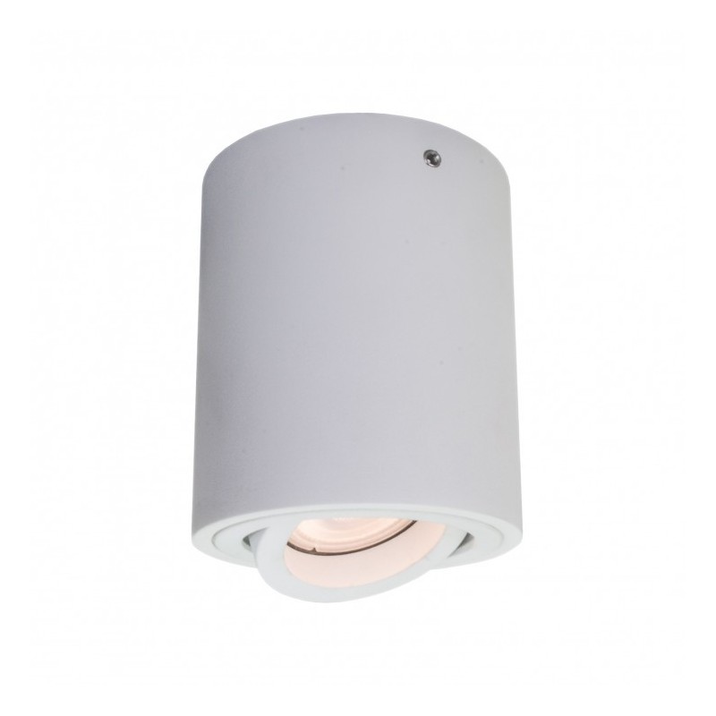 Ceiling luminaire IT8004R1-WH             