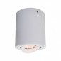 Ceiling luminaire IT8004R1-WH             