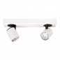 Ceiling luminaire SPL-3142A-2-WH             