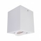 Ceiling luminaire IT8004S1-WH             