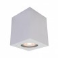 Ceiling luminaire IT8003S1-WH             