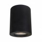 Ceiling luminaire IT8005R1-BK             