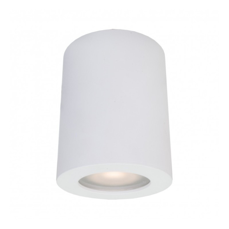 Ceiling luminaire IT8005R1-WH             