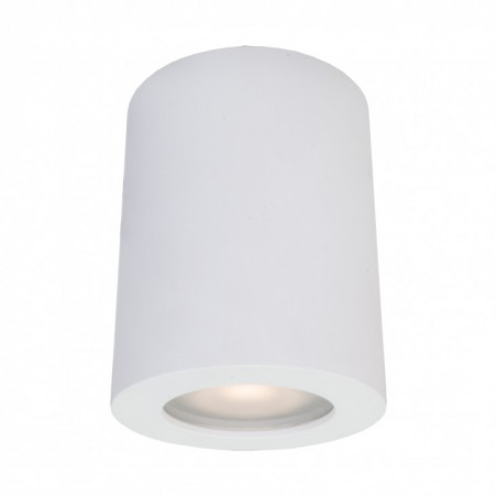 Ceiling luminaire IT8005R1-WH               - 1