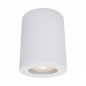 Ceiling luminaire IT8005R1-WH             