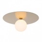 Ceiling luminaire PLF-201923-1