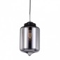 Suspended luminaire MDM2095/1 A            