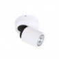 Ceiling luminaire FH31311B             