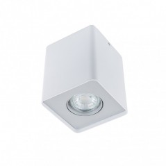 Ceiling Luminaire FH31431S-WH               - 1