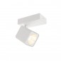Ceiling Lamp SPL-31981-1B-WH