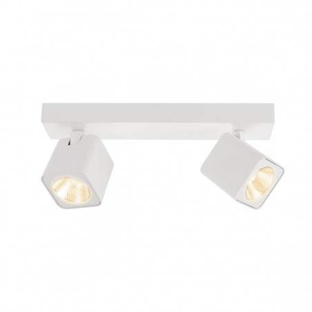 Ceiling Lamp SPL-31981-2B-WH