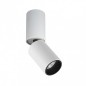 Ceiling Lamp CLN-88018-5W-M-3K