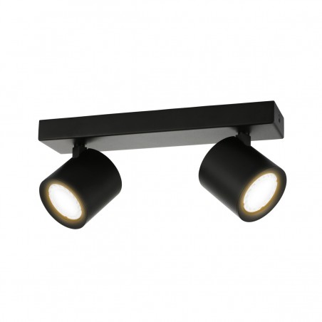 Ceiling Lamp SPL-31959-2B-BK
