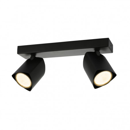 Ceiling Lamp SPL-31970-2B-BK