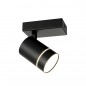 Ceiling Lamp SPL-31983-1B-BK