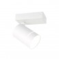 Ceiling Lamp SPL-31983-1B-WH