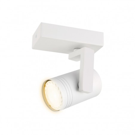 Ceiling Lamp SPL-31993-1B-WH