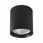 Ceiling Lamp OWG-705R/BF-WW