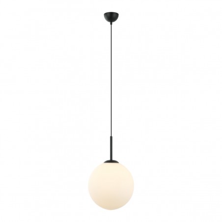 Suspended luminaire  Deore  PND-5578-1L-BK