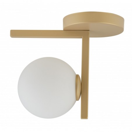 Ceiling Luminaire ANDY 33336  - 1