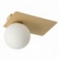 Ceiling Luminaire ARGON 33274