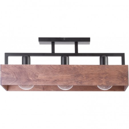 Ceiling Luminaire DAKOTA 31740  - 1