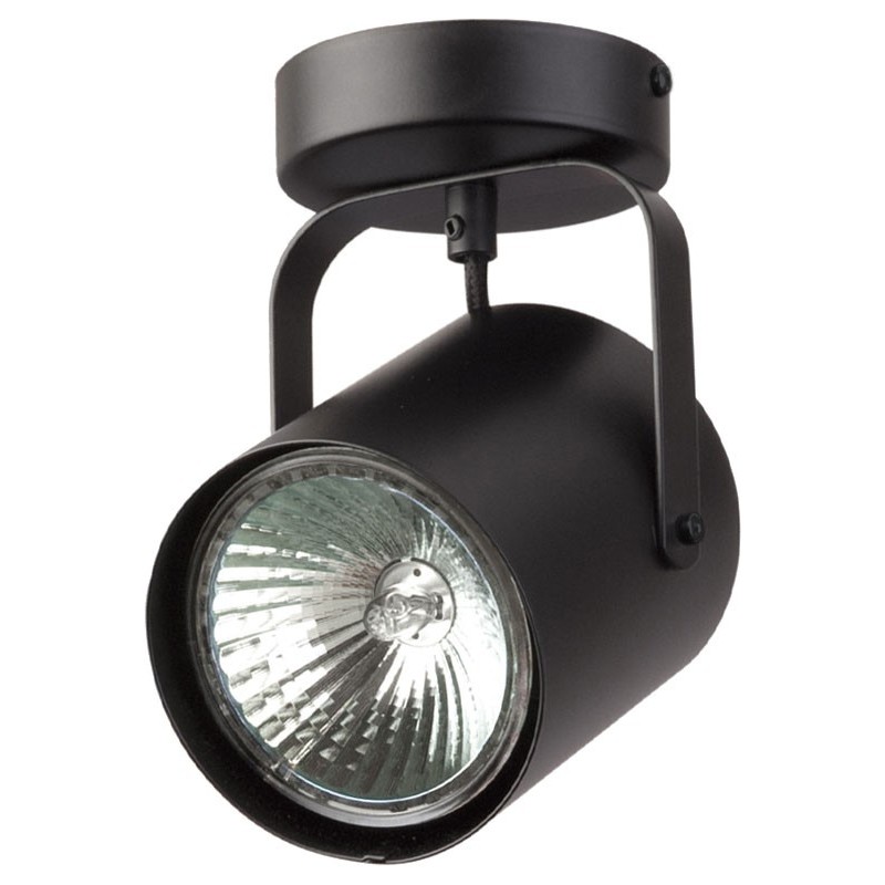 Ceiling Luminaire FLESZ 31065