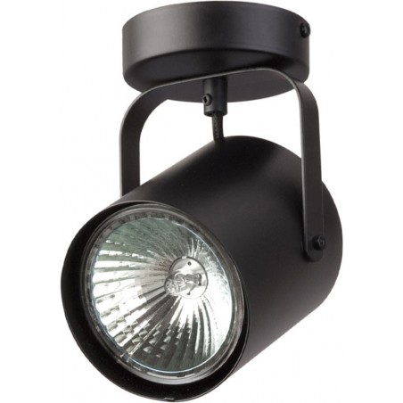 Ceiling Luminaire FLESZ 31065  - 1