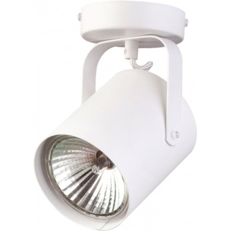 Ceiling Luminaire FLESZ 31095  - 1