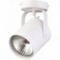 Ceiling Luminaire FLESZ 31095