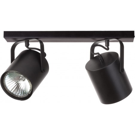 Ceiling Luminaire FLESZ 31071  - 1