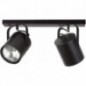 Ceiling Luminaire FLESZ 31071