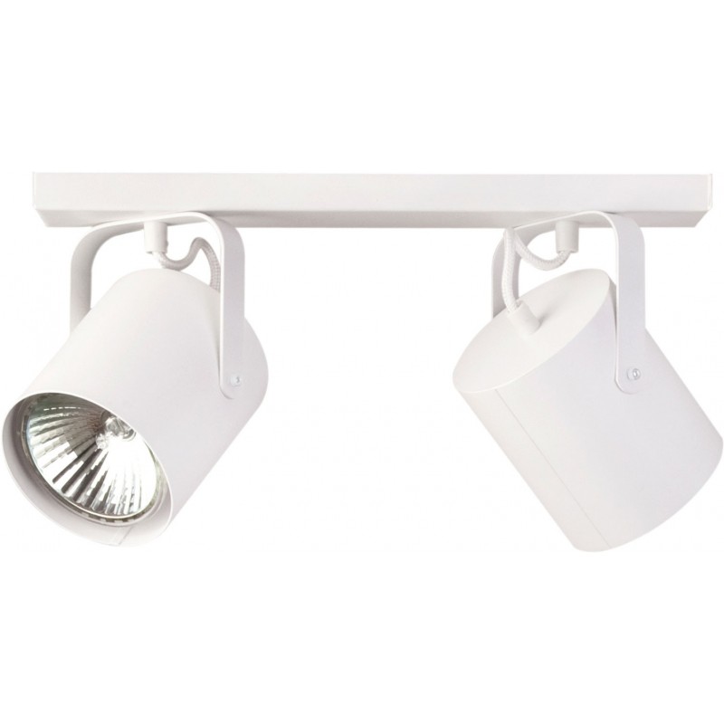Ceiling Luminaire FLESZ 31106